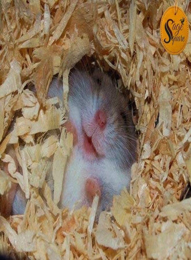 سايج سكوير 150 غرام من نشارة الخشب الطبيعية كفرش للهامستر، والجرذان القزمة، والفئران، والجرذان، والأرانب، وخنازير غينيا - Image 3